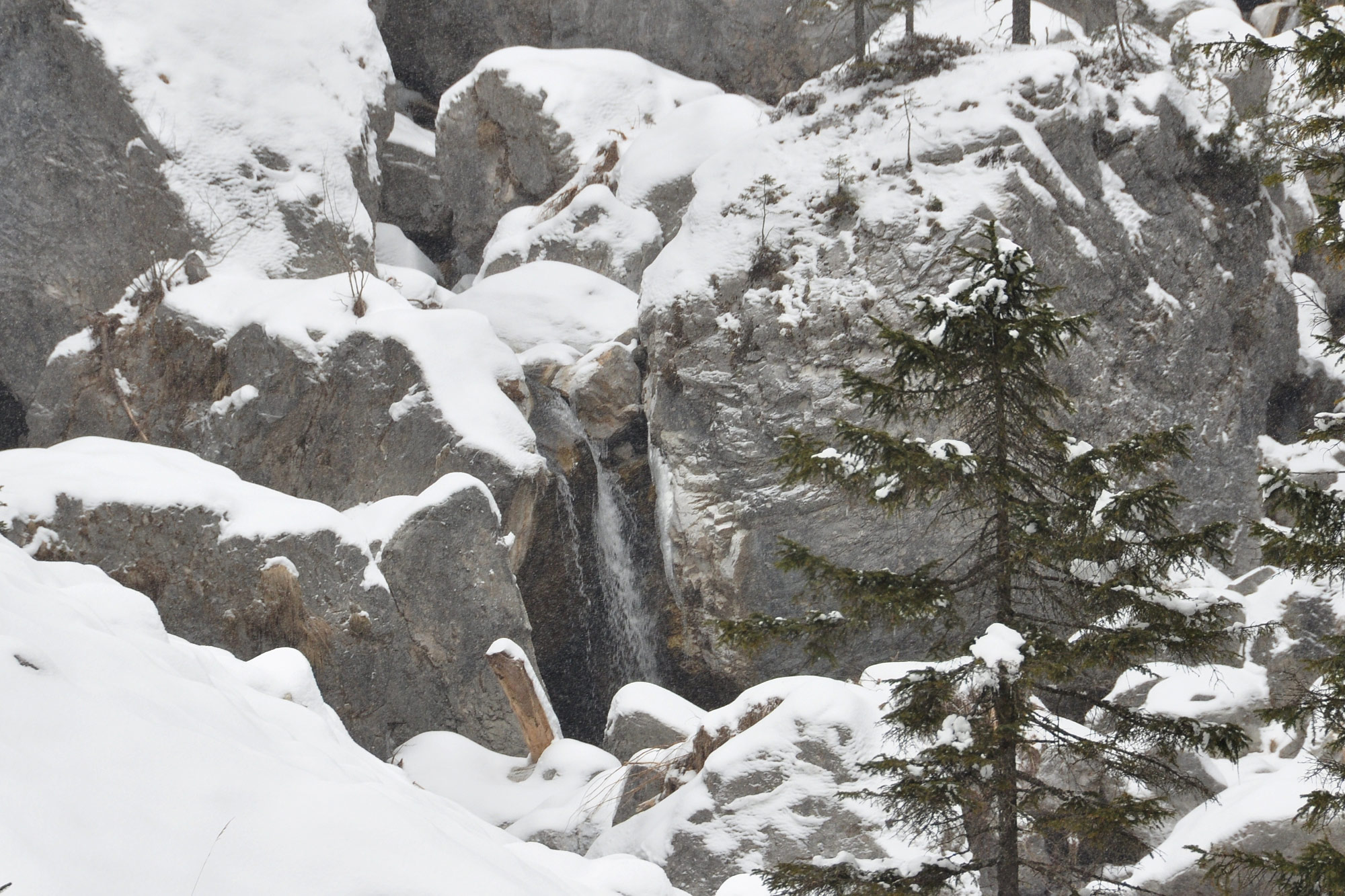 Sappada